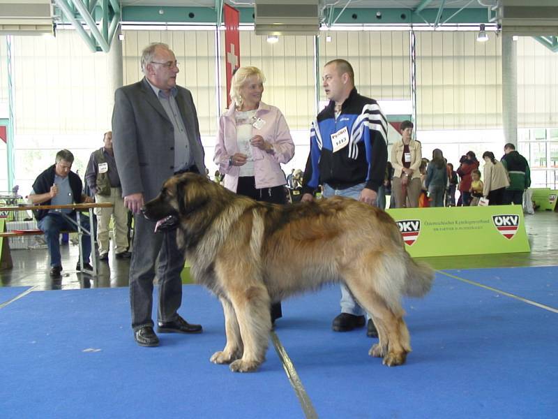 Salzburg Clubschau Mai 06 034 